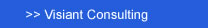Visiant Consulting